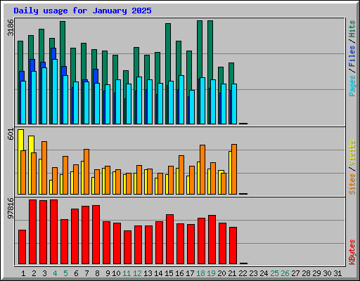 Daily usage for January 2025