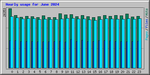 Hourly usage for June 2024