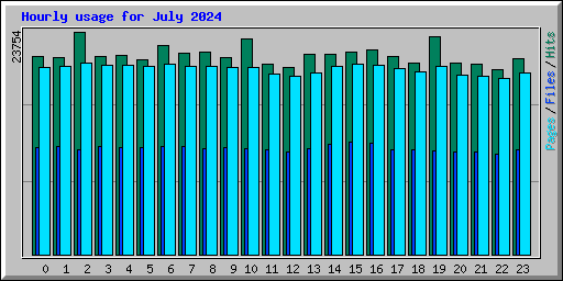 Hourly usage for July 2024