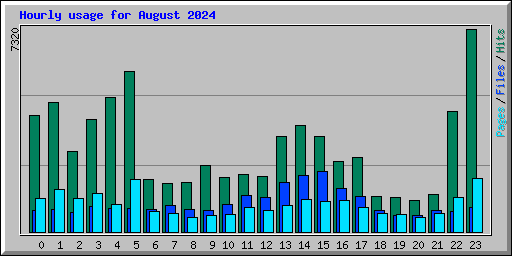 Hourly usage for August 2024