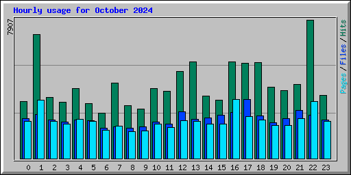 Hourly usage for October 2024