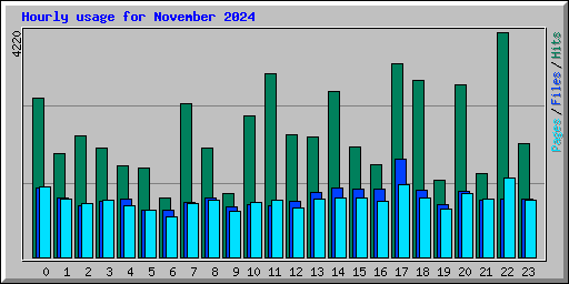 Hourly usage for November 2024