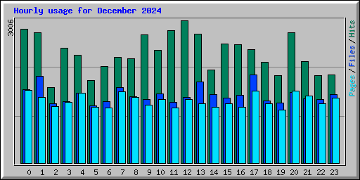 Hourly usage for December 2024