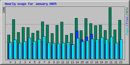 Hourly usage for January 2025