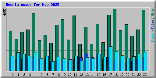 Hourly usage for May 2025