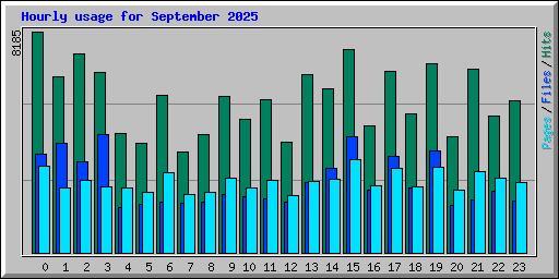Hourly usage for September 2025